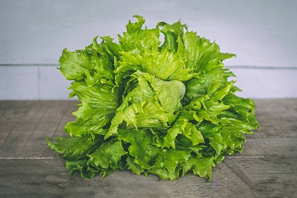 Was kann man zu Salat pflanzen? Knackiger, frisch gewaschener Salatkopf auf einem Tisch.